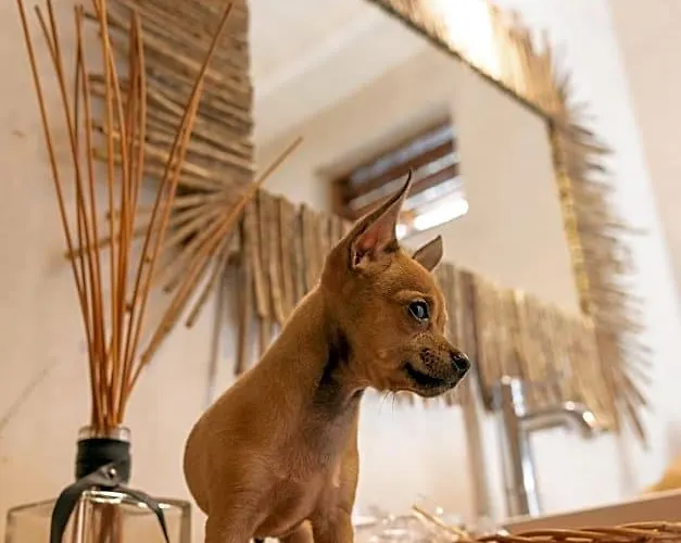 Gramercy 5* Tulum
